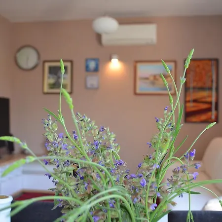 Holiday Home Manuela Trogir Zewnętrze zdjęcie